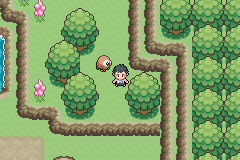 Pokémon Legends Arceus GBA archives PokeMundo