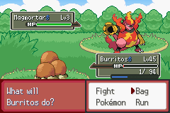 Pokemon Blazing Fire Red